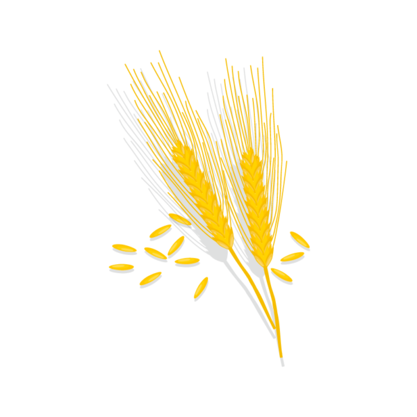 Grano Tenero Bramante