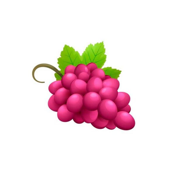 Cabernet Sauvignon - immagine 2